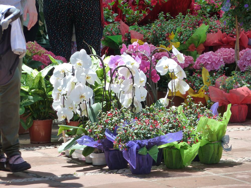 Actividades Jardín Botánico de Córdoba’ Febrero 2015