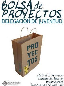 Bolsa de Proyectos Juventud de Cabra