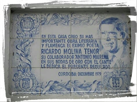 Premio de Poesía Ricardo Molina (Hasta el 18 de sep. 2015)