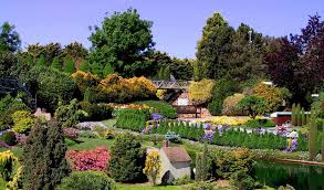 Actividades Jardín Botánico