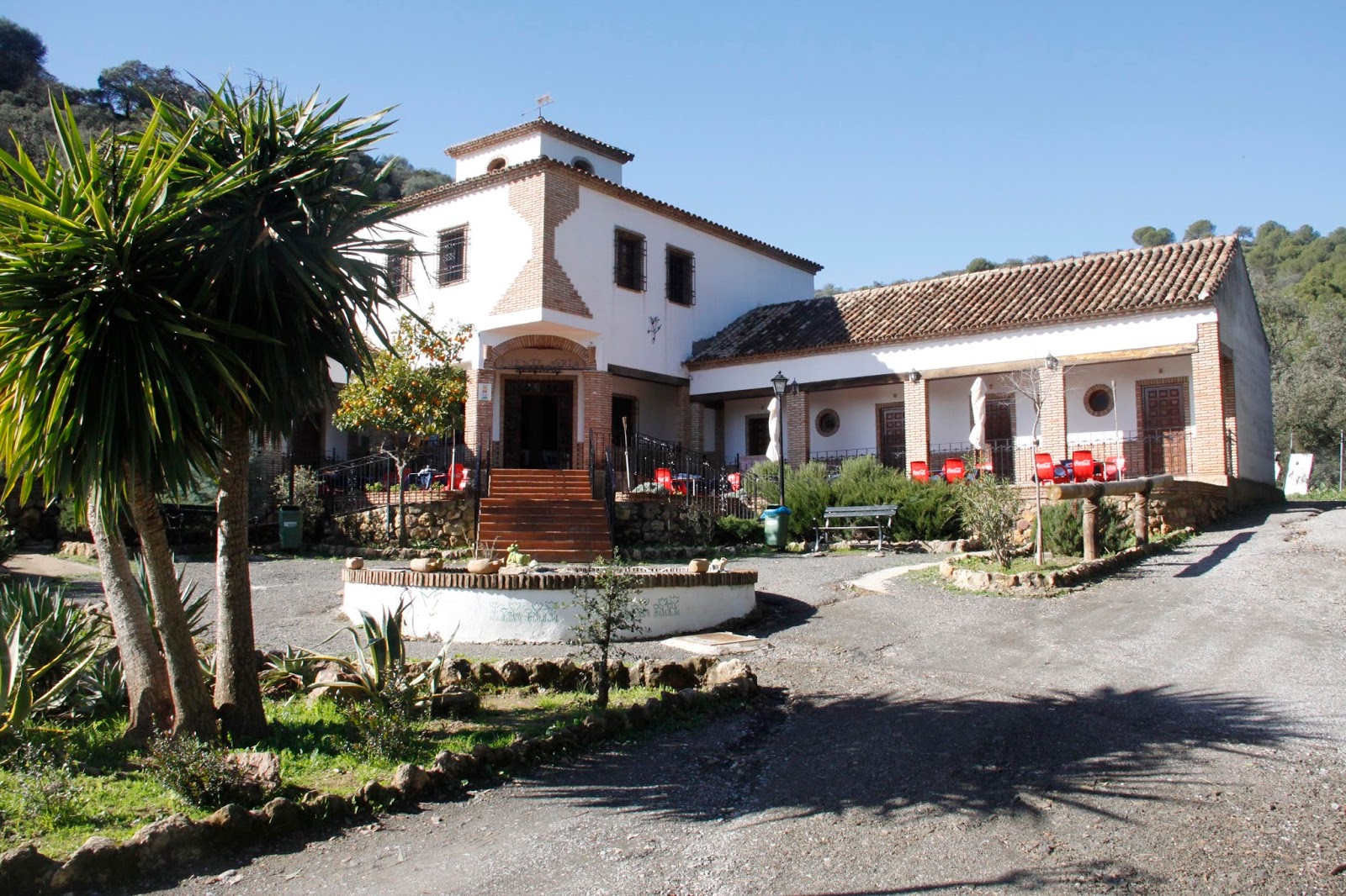 Campamento Juvenil Navideño «Viviendo del Bosque Mediterráneo»