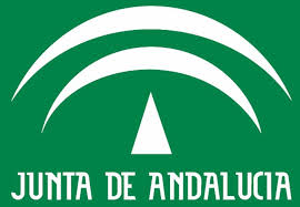 1 técnico. Parlamento Andalucía