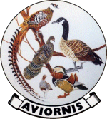 XI CONGRESO AVIORNIS INTERNACIONAL