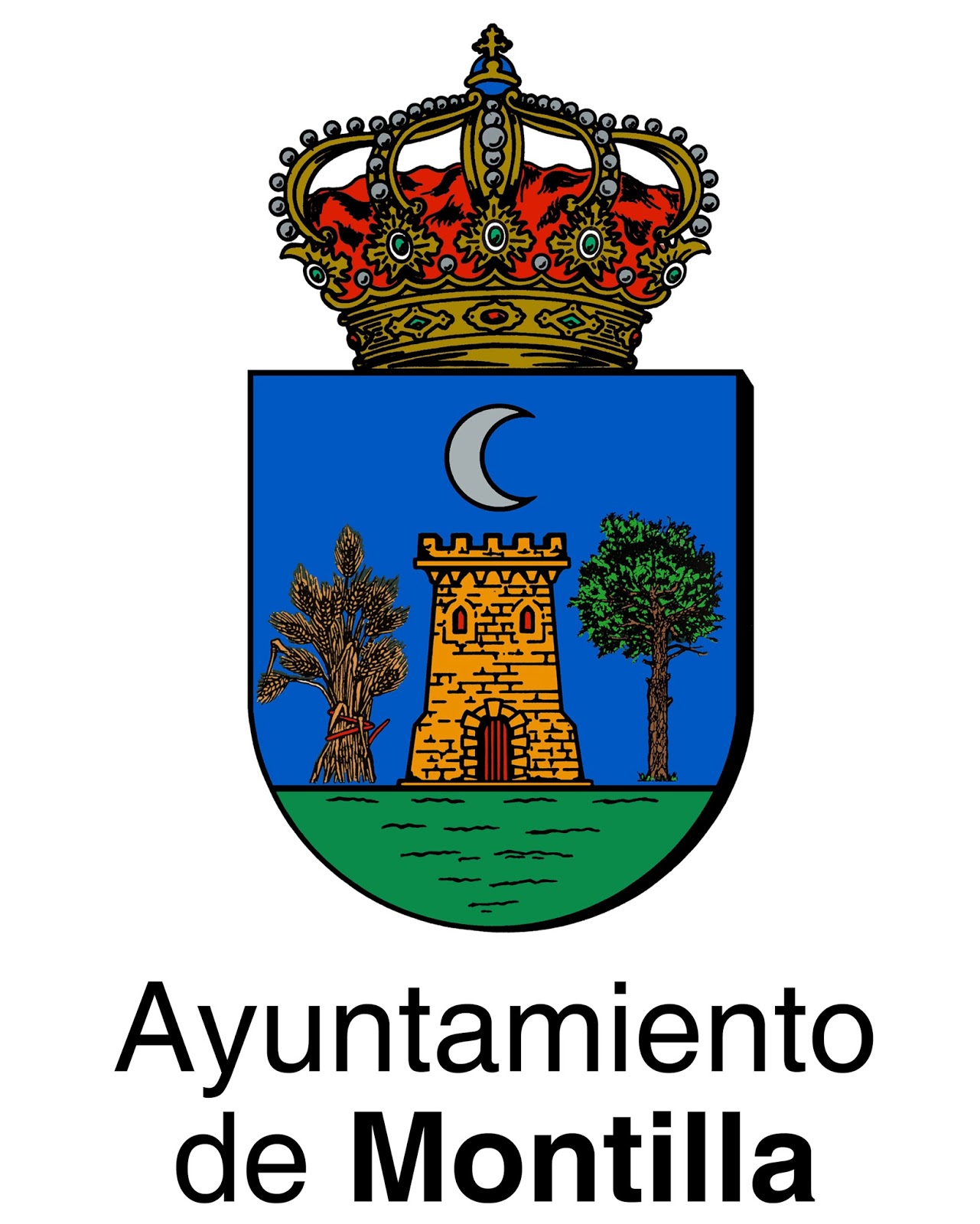 1 plaza Director Técnico de Deportes para el Ayto. de Montilla