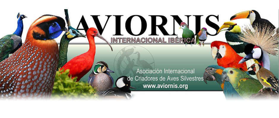 XII CONGRESO AVIORNIS INTERNACIONAL