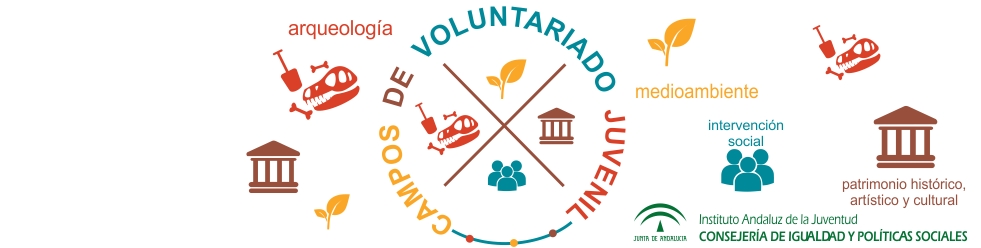 CAMPOS DE VOLUNTARIADO JUVENIL.  INJUVE-IAJ