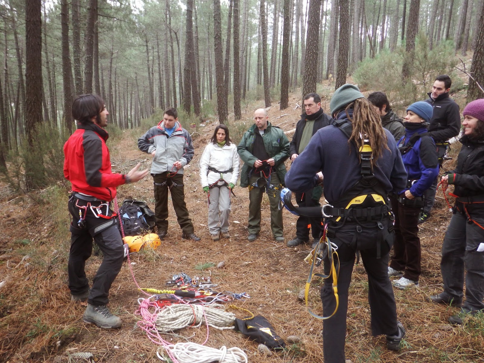 Módulo Superior en Gestión Forestal y Medio Natural en Cazorla