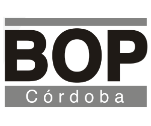 Bases de la convocatoria para la contratación temporal de: 18 plazas de Trabajador/a Social. 11 plazas de Educador/a Social. Ayuntamiento de Córdoba