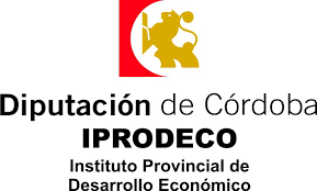 Convocatoria de subvenciones para la contratación de desempleados/as dentro del Programa EMPRENDE 2019