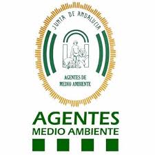 65 plazas en el Cuerpo de Ayudantes Técnicos, especialidad Agentes de Medio Ambiente de la Junta de Andalucía