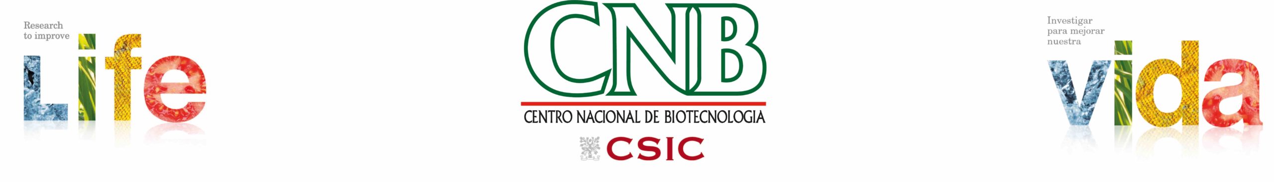 Becas de colaboración de introducción a la investigación «JAE Intro SOMdM 2020»