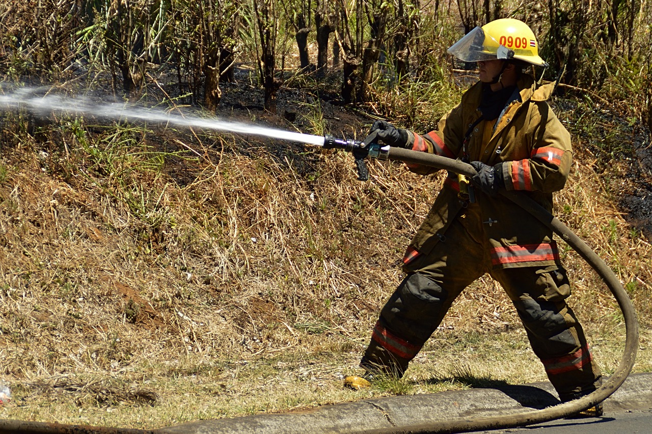 Bombero forestal. Especialista de prevención y extinción de incendios forestales