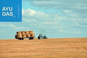 Ayudas creación de empresas para jóvenes agricultores, Andalucía