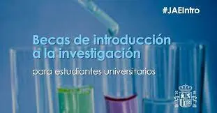 Becas de introducción a la investigación ‘JAE Intro’ del CSIC