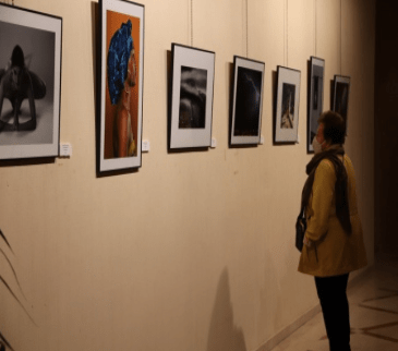 XVI Edición de los premios “Manzanares” de Fotografía.