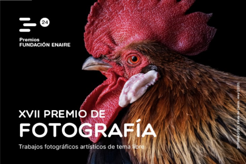 XVII Premio de Fotografía Fundación ENAIRE