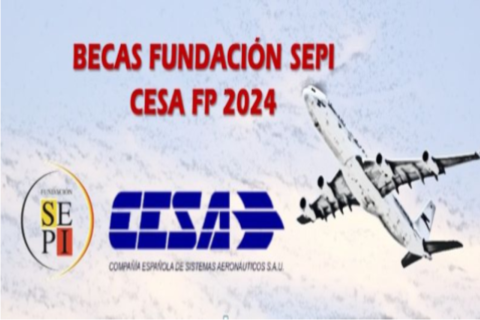 Becas Fundación SEPI-INICIACIÓN 